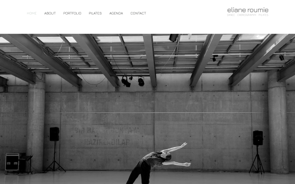 Eliane Roumié Portfolio Interface